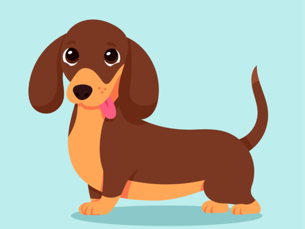 “Por Que Escolher um Dachshund? Vantagens, Cuidados e Personalidade Única”