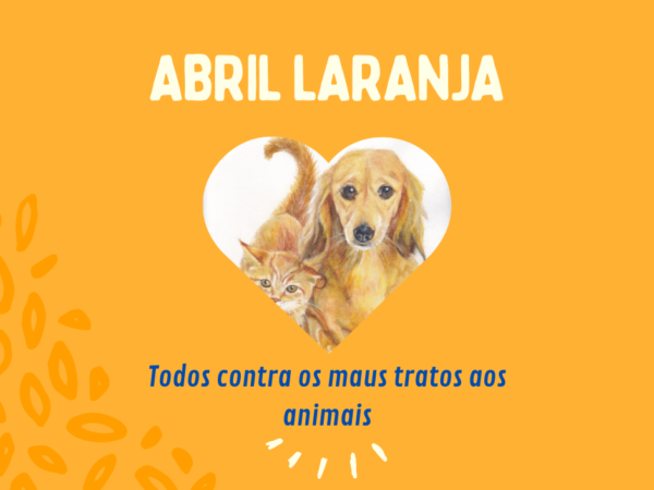 Abril Laranja: Um Mês de Conscientização e Luta Contra a Crueldade Animal